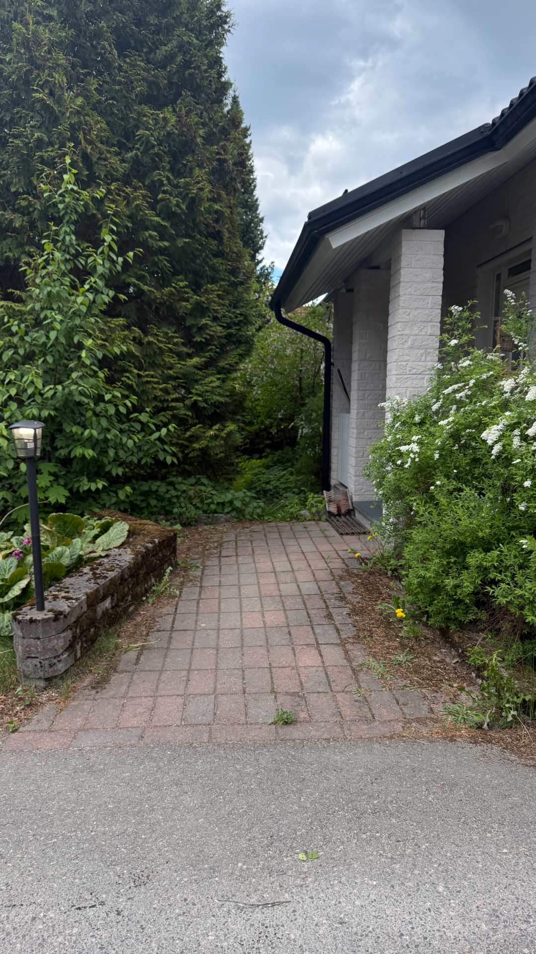 Pihalaattojen pesu ennen ja jälkeen
